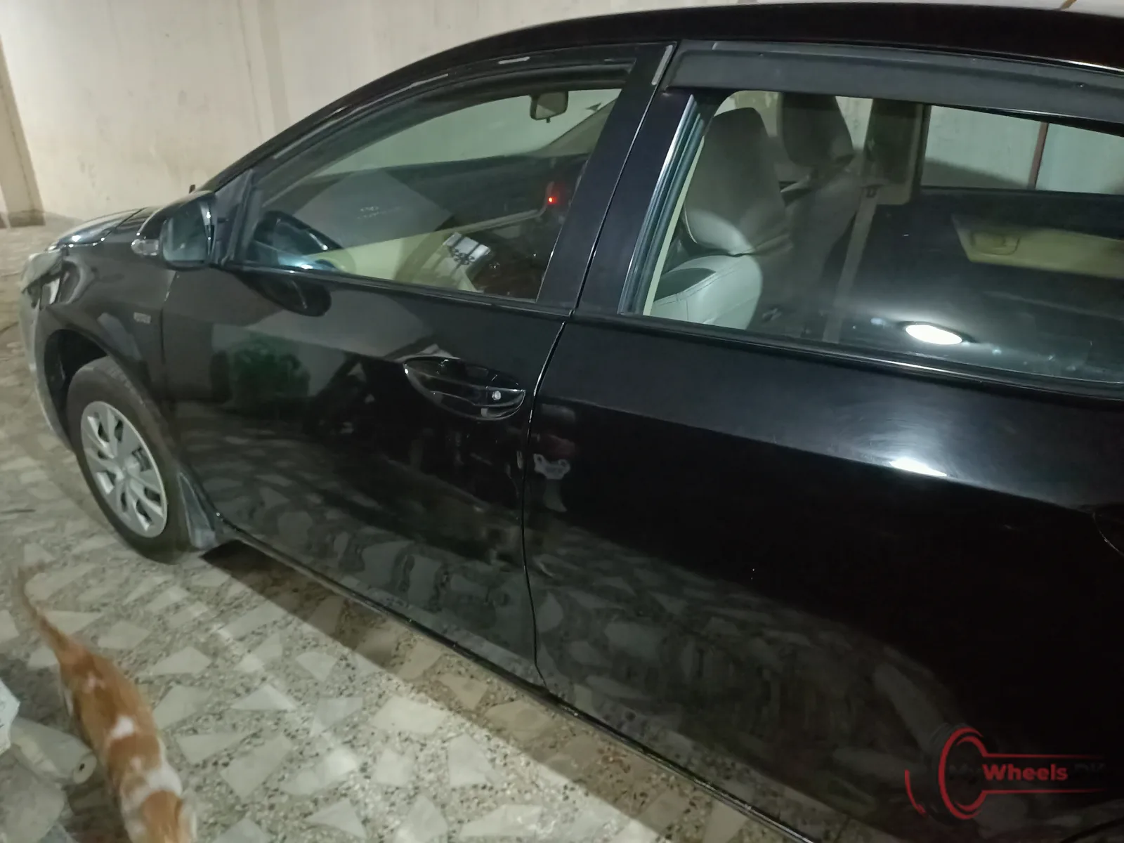 2019 Toyota Corolla XLI main vehicle photo
