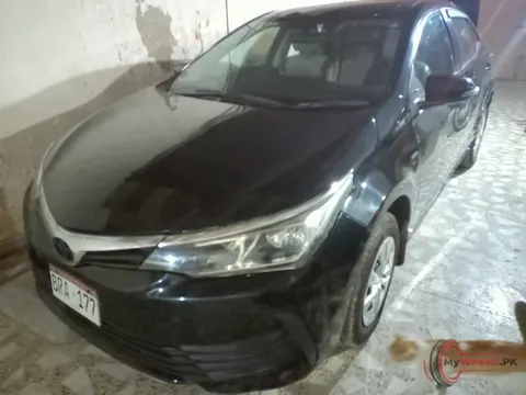 2019 Toyota Corolla XLI photo 3