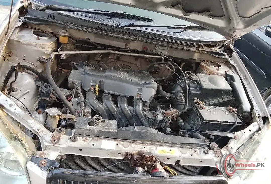 2002 Toyota Corolla main vehicle photo